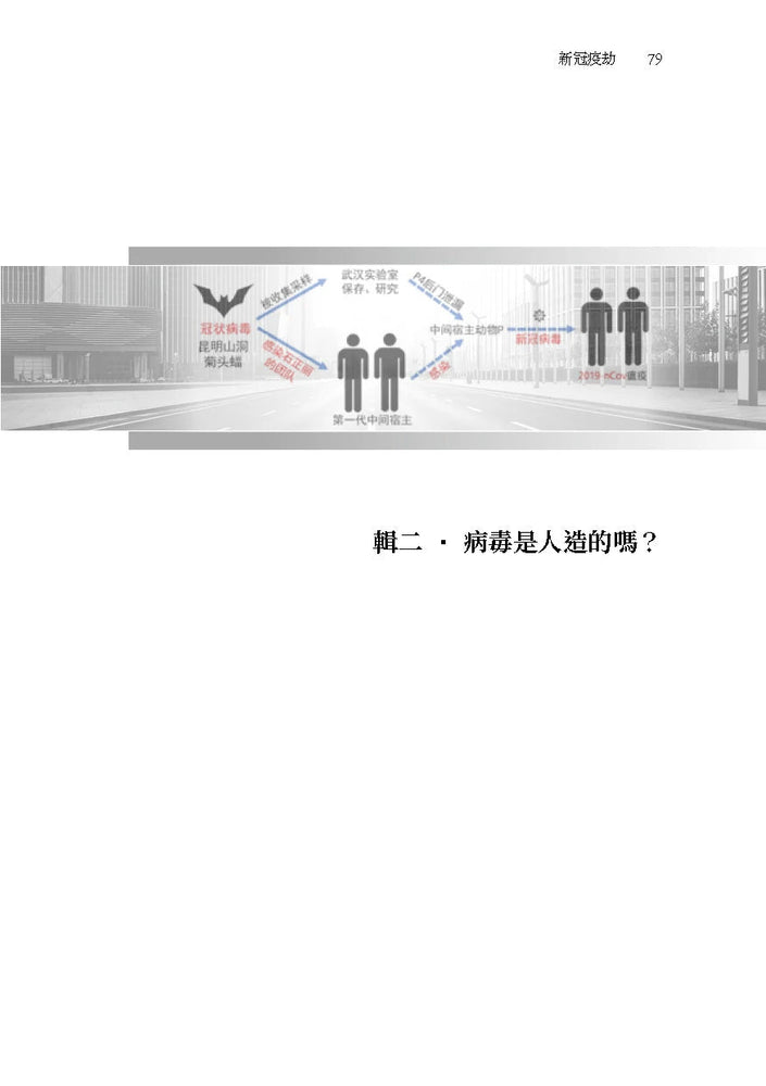 《新冠疫劫》